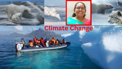 Importance of Climate Change